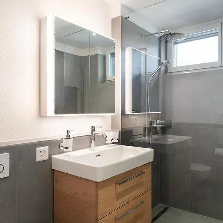 Moderne Neubauwohnung In Wilderswil