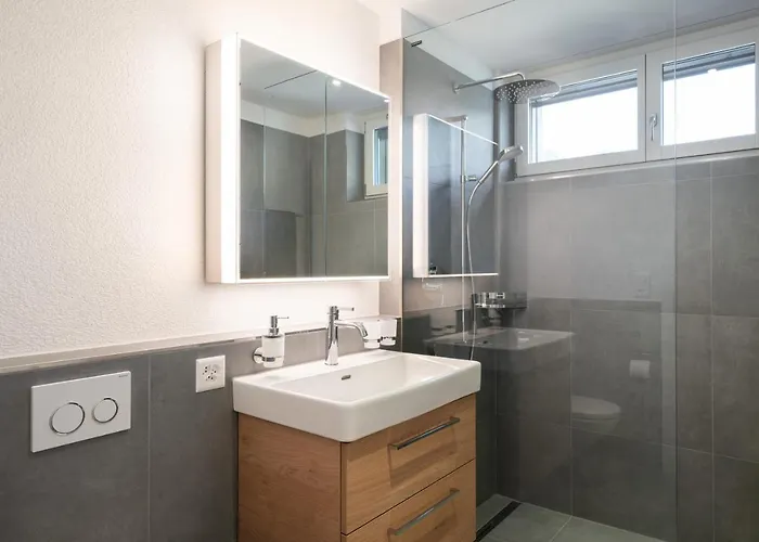 Moderne Neubauwohnung In Wilderswil